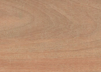 Mahogany, Santos 