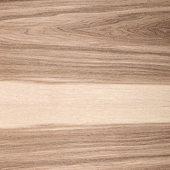 Hickory